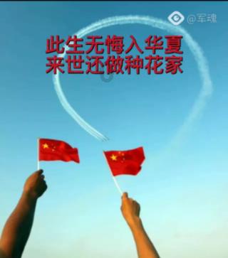 拯救精灵的土地9